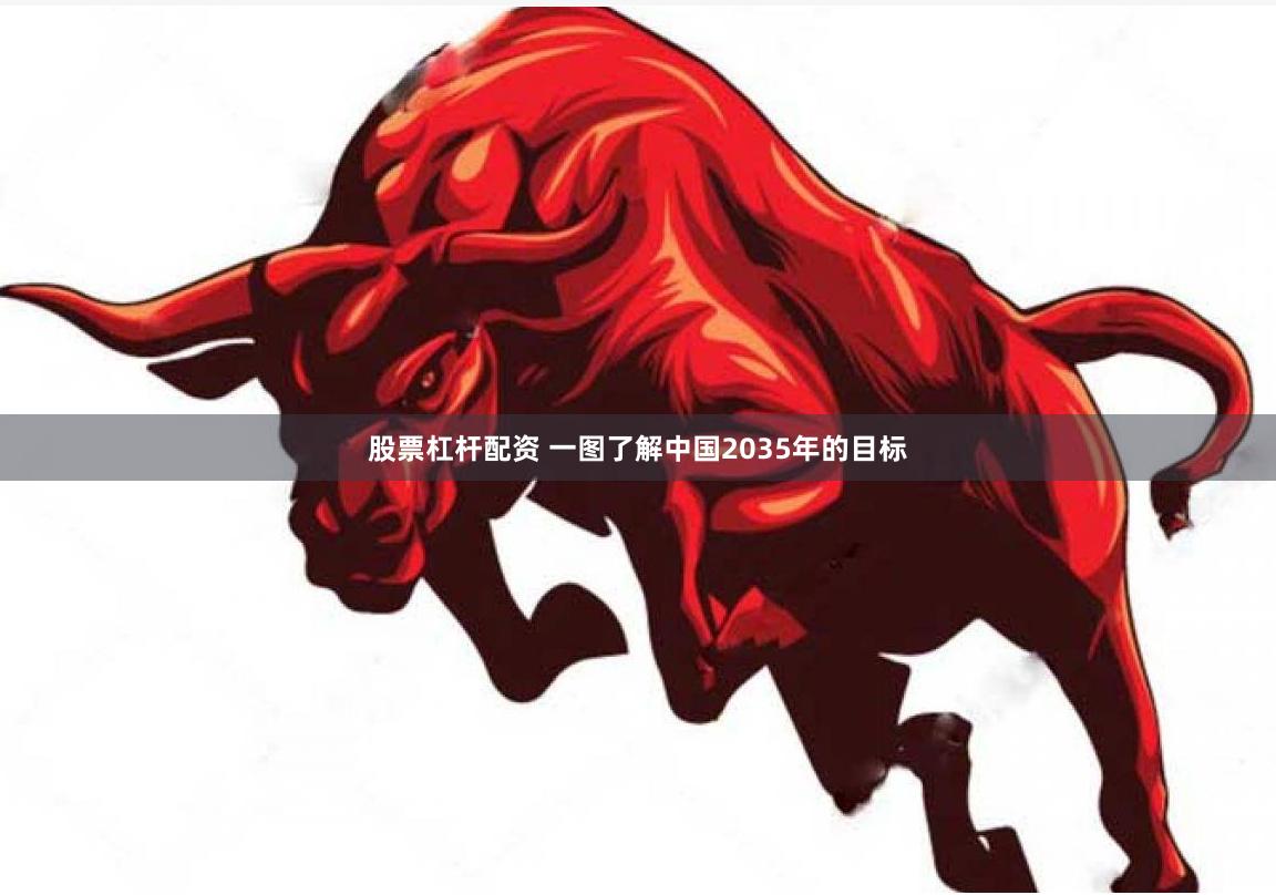 股票杠杆配资 一图了解中国2035年的目标