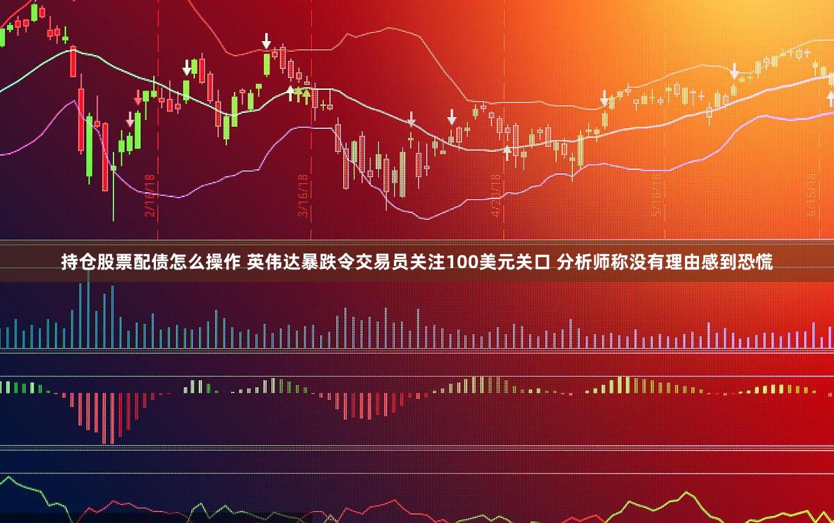 持仓股票配债怎么操作 英伟达暴跌令交易员关注100美元关口 分析师称没有理由感到恐慌