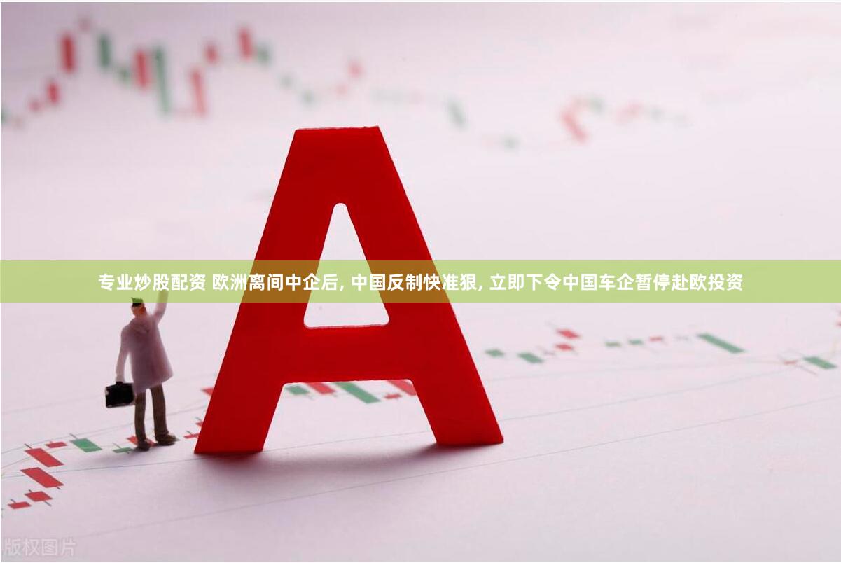 专业炒股配资 欧洲离间中企后, 中国反制快准狠, 立即下令中国车企暂停赴欧投资