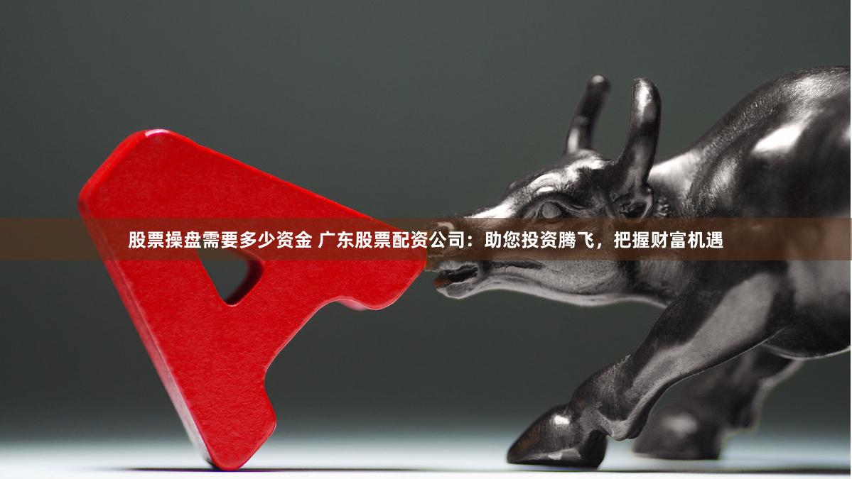 股票操盘需要多少资金 广东股票配资公司：助您投资腾飞，把握财富机遇